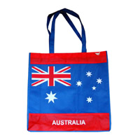 秦皇岛KB50广告无纺布袋