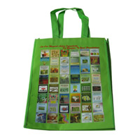 秦皇岛LB11覆膜无纺布广告袋